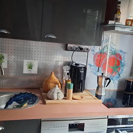 Homestay Comme En Famille Saint-Raphael (Var)